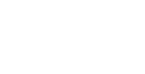 Skyriff Logo